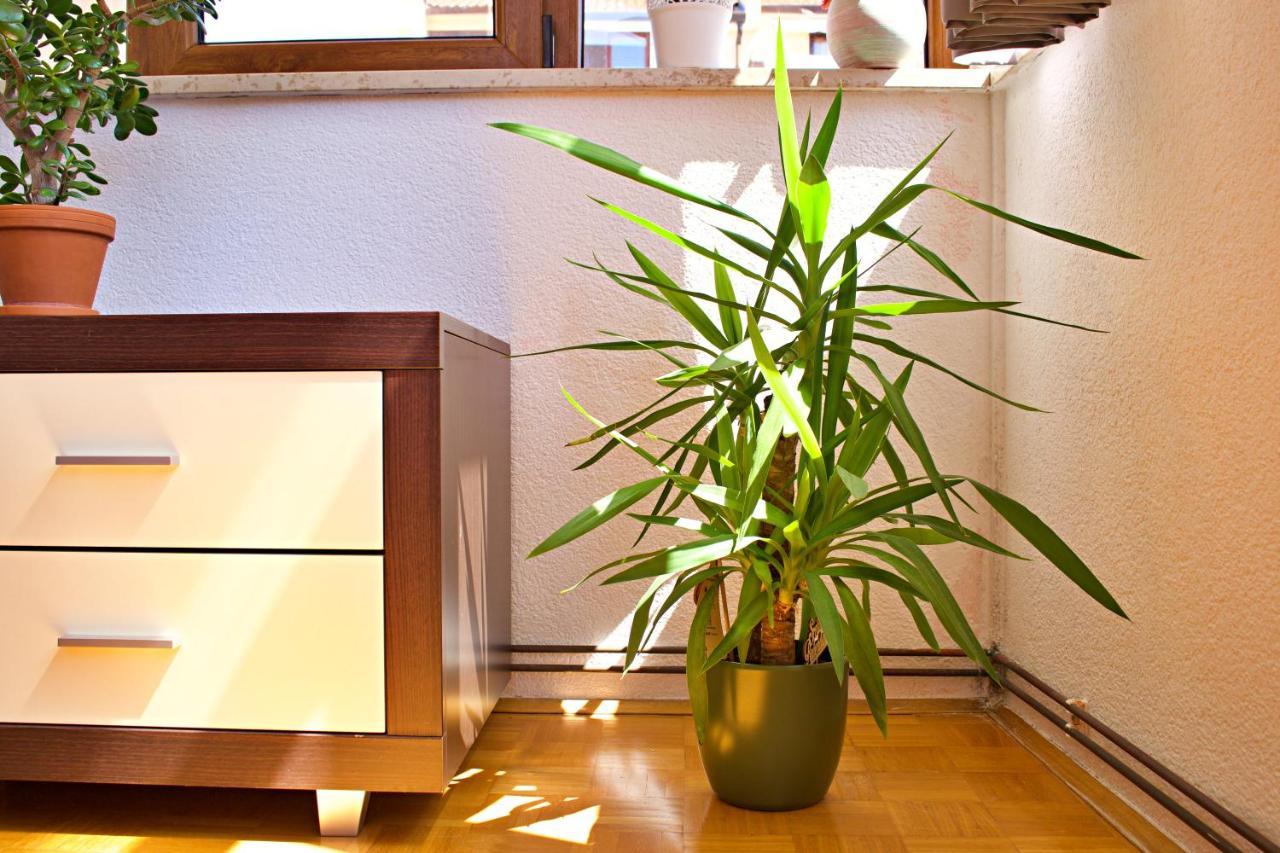 Apartments Kanegra ウマグ エクステリア 写真